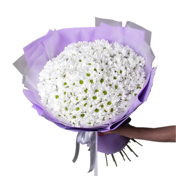 🌼 Snowfall White Chrysanthemum Bouquet 50