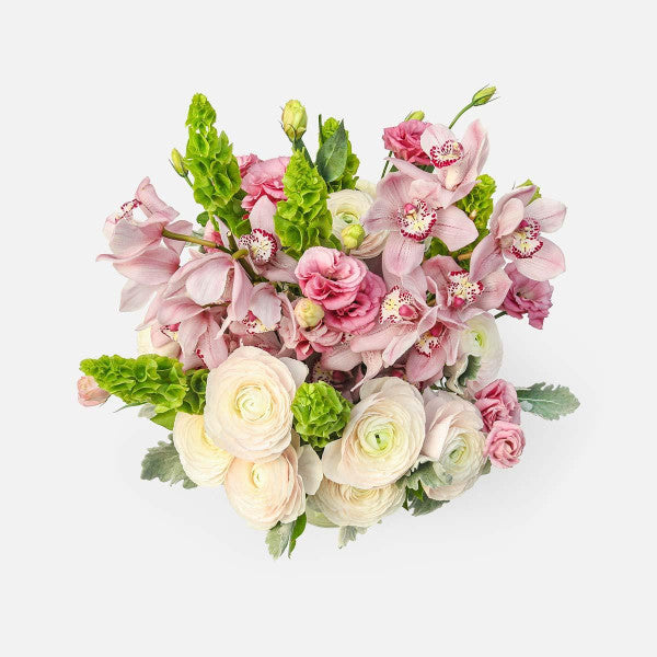 🌸 Elegant Spring: Romantic Harmony of Orchids and Ranunculus